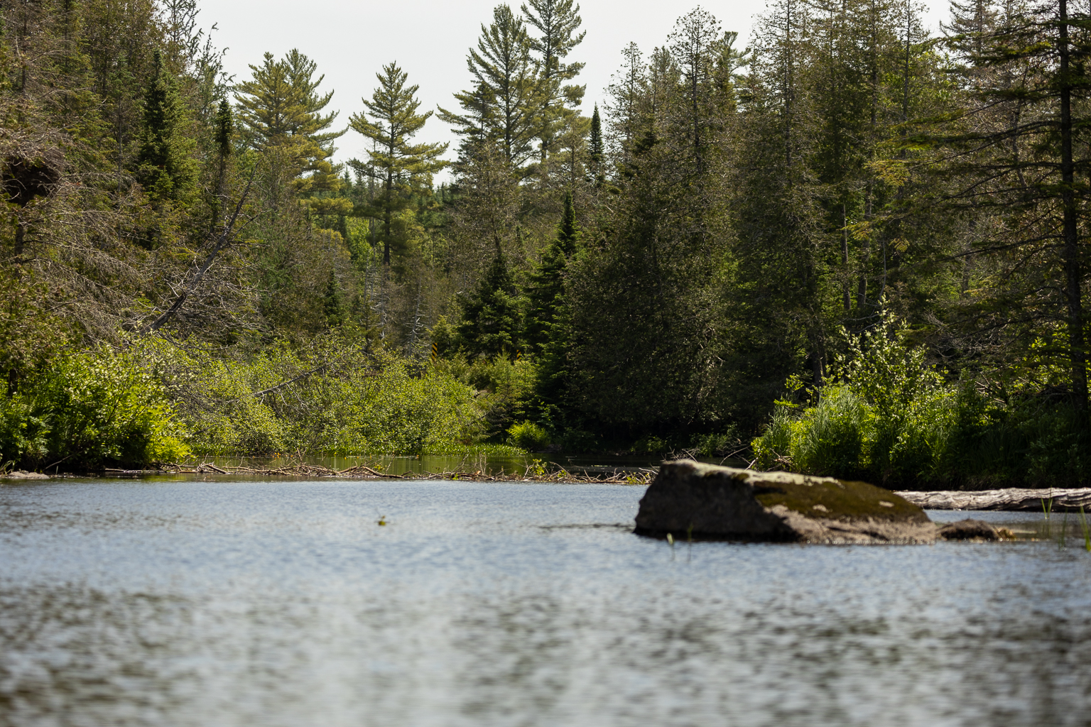 A boulder and small beaver dam on East Branch Nackawic Stream