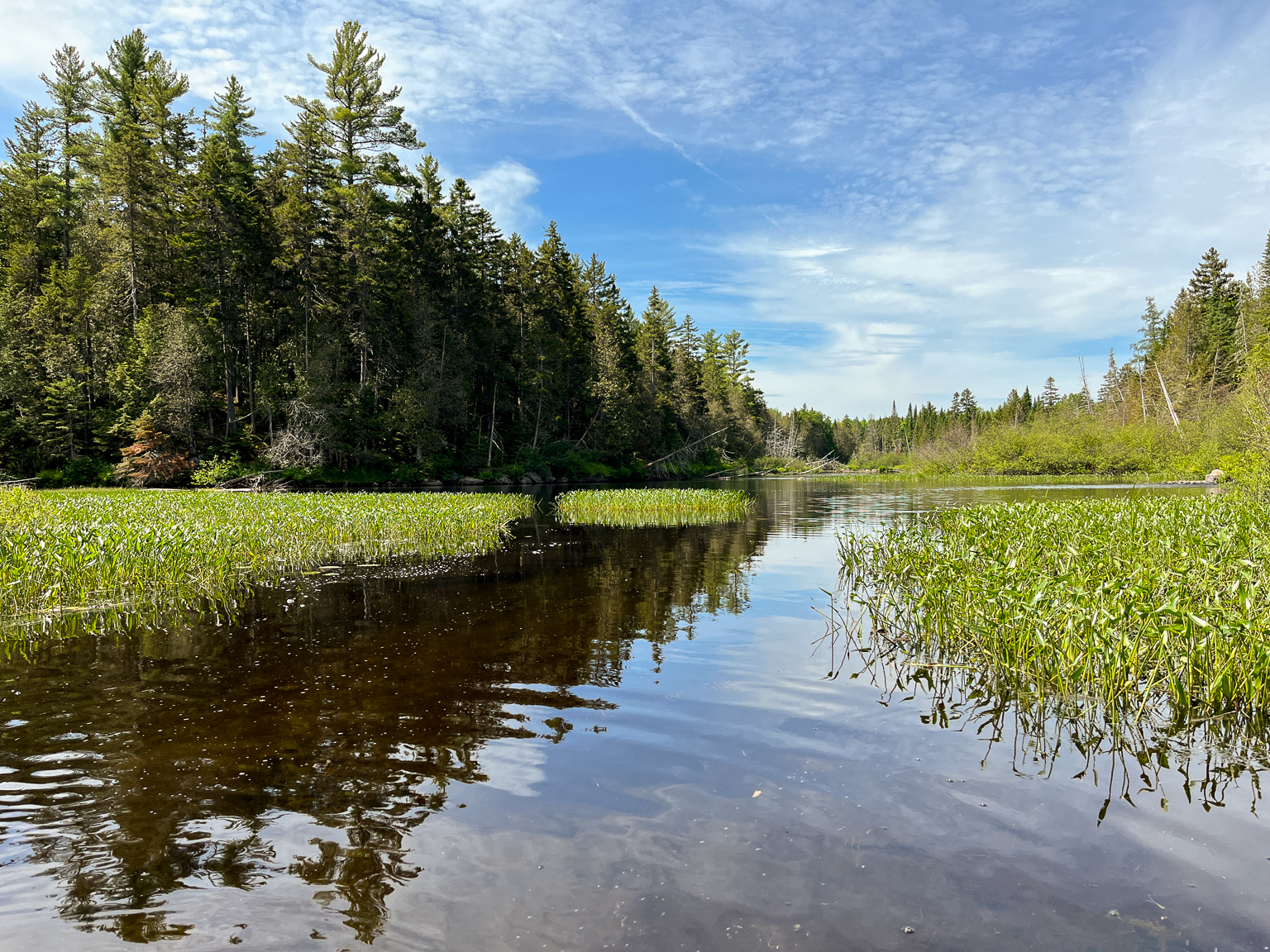 East Branch Nackawic Stream deadwater