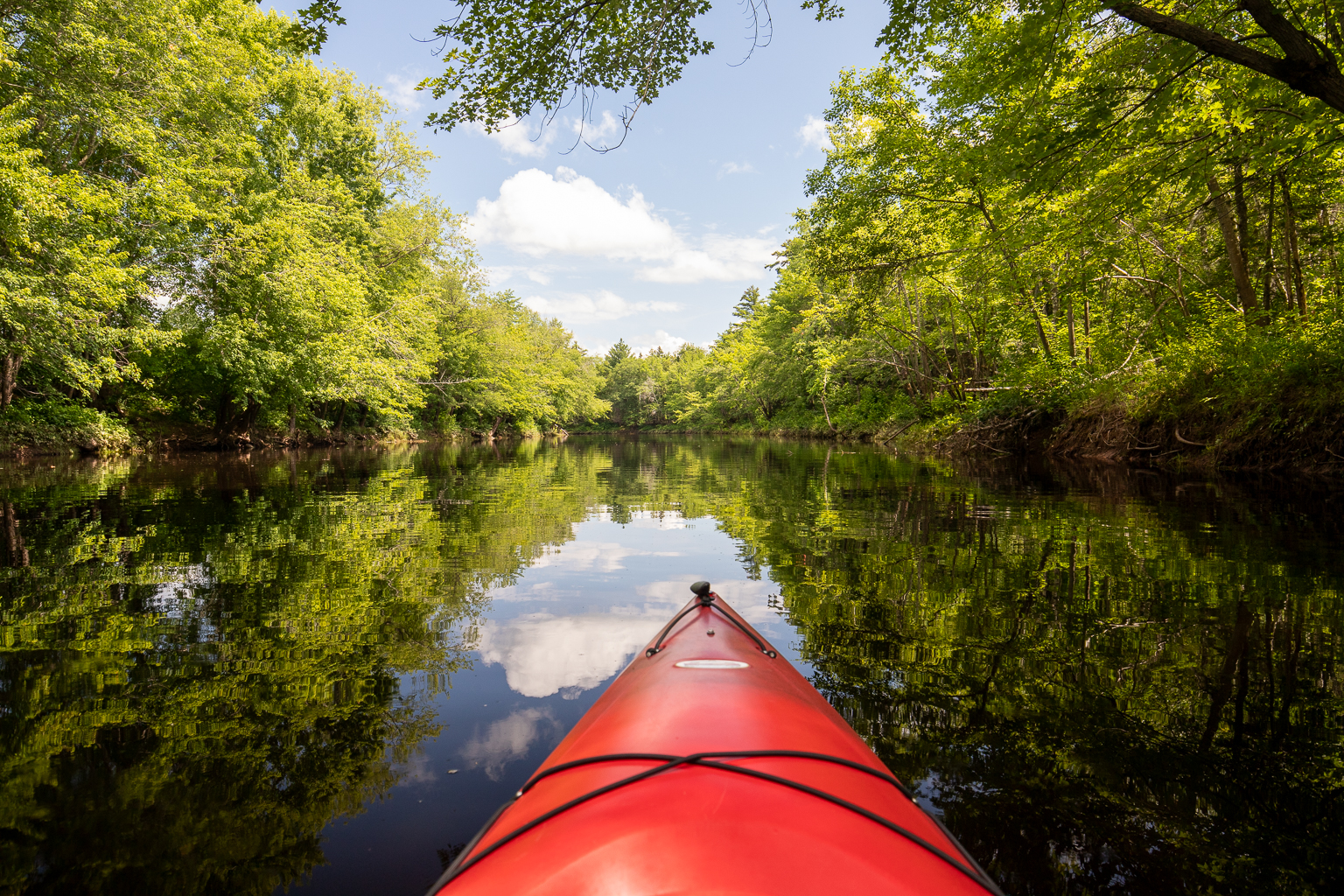 Kayaking in the hardwood lined Rusagonis Stream